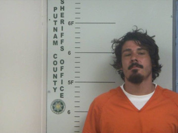 Mugshot of DYLAN S PETERS