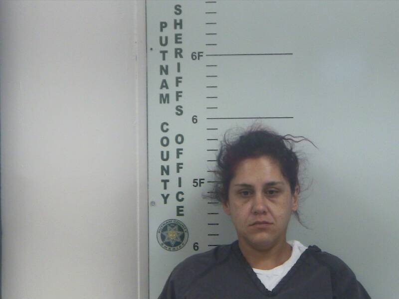 Mugshot of NICOLE M MACLELLAN