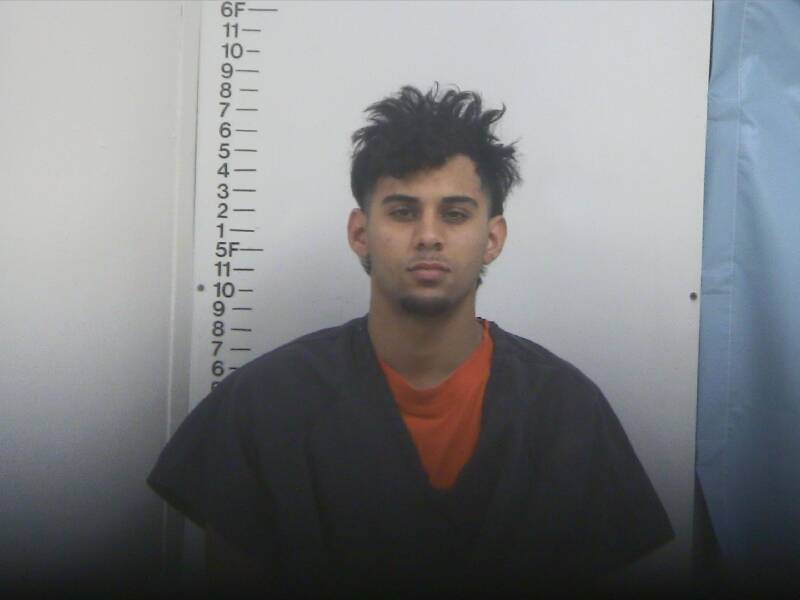 Mugshot of EDRIN E FERRER