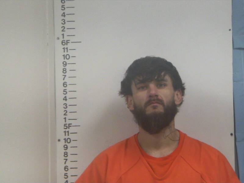 Mugshot of JORDAN B LANGFORD