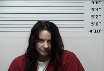 Mugshot of ELIZABETH MICHELLE HOVIS