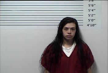 Mugshot of HEATHER NICOLE GILLESPIE