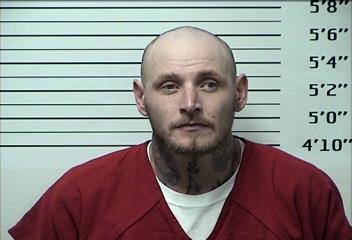 Mugshot of TERRY WAYNE MCNABB