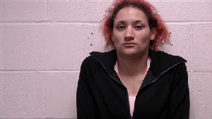 Mugshot of Taylor Shea Fleming