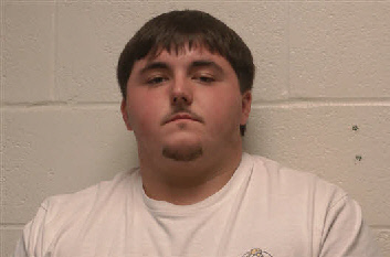 Mugshot of Mckinlee J Holliman