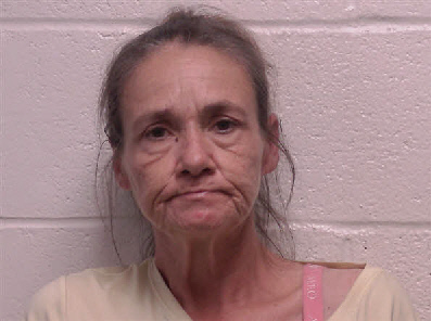 Mugshot of Sheilah Gayle Scribner