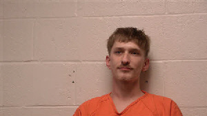 Mugshot of Datyn A Willett