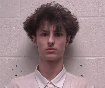 Mugshot of Brenann Lane Saultz