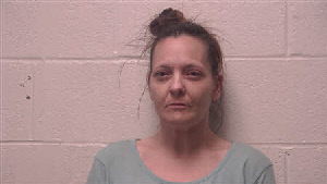 Mugshot of Janice Diane Hardway