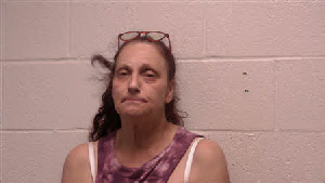 Mugshot of Vicki Lynn Wilsford