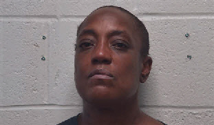 Mugshot of Joy Lynn Young