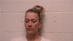 Mugshot of Jolene Rene Harvey