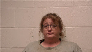 Mugshot of Corrie Ann Murphy