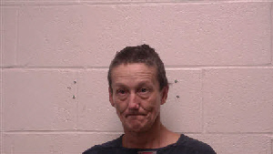 Mugshot of Chasity Louise McDowell-Farler