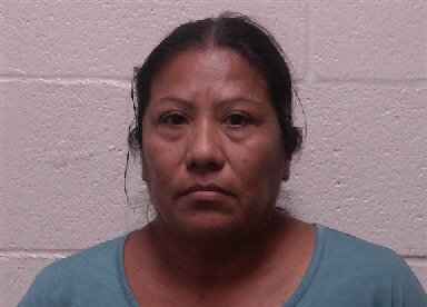 Mugshot of Maridelia Lopez Gonzalez