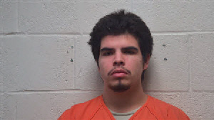Mugshot of Johan Flores