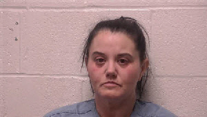 Mugshot of Heidi Taylor