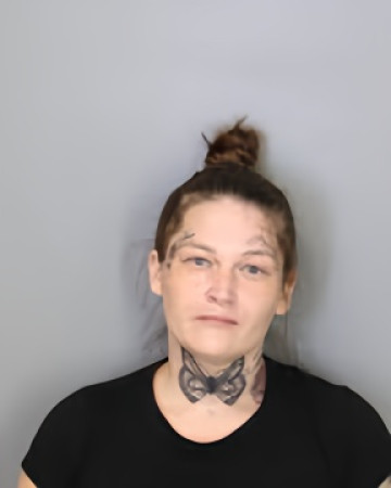 Mugshot of JULIA COOK