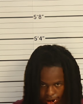 Mugshot of DARRION EVANS
