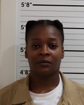 Mugshot of ERICA D SPEARS