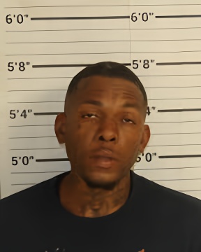 Mugshot of MICHAEL JEROME BROWN