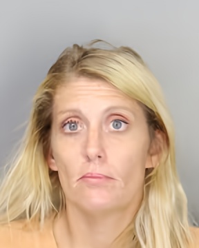 Mugshot of RACHEL DOWNEN