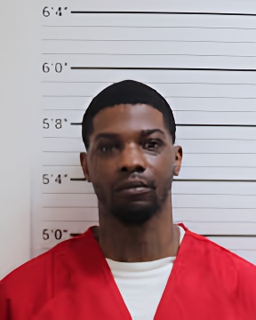 Mugshot of DEMITRIOUS MARTEZ DAVIS