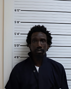 Mugshot of DARNELL L REED