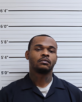Mugshot of LISSIE HODGES