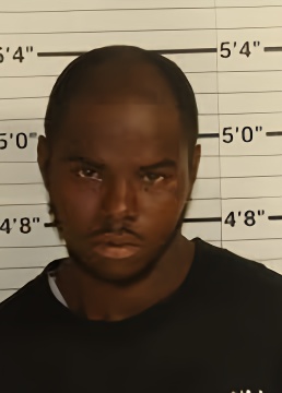Mugshot of CEDERIO DONTRELL WILSON