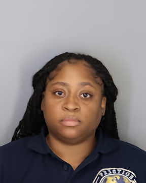 Mugshot of ERICA RICHARDSON