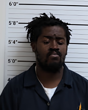 Mugshot of JARVIS D STIGER