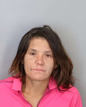 Mugshot of STEFANIE SMITH