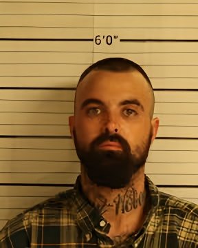 Mugshot of JUSTIN WADE ROBINSON