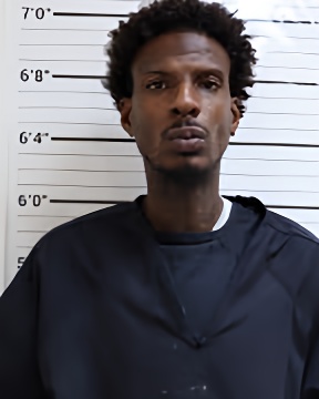 Mugshot of TORRIES LEDARYL THOMAS