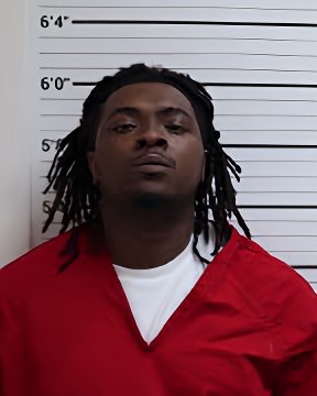 Mugshot of TYLAND C MITCHELL