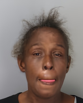 Mugshot of DANA N CONLEY