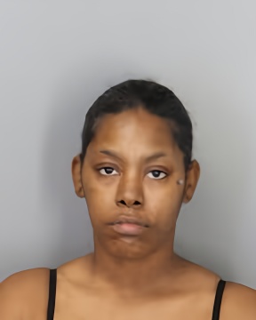 Mugshot of ERICA SEYMONE COLEMAN