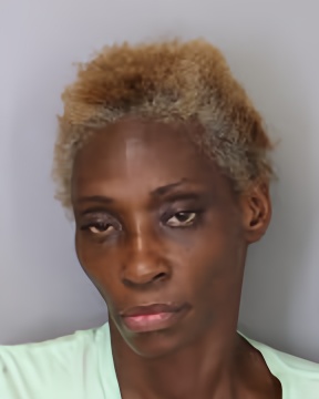 Mugshot of CHASIDY L HUNT