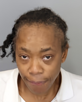Mugshot of DOMINIQUE DANIELLE HAMILTON