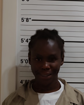 Mugshot of DEBRA BILLUPS