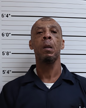 Mugshot of TERRY THOMAS
