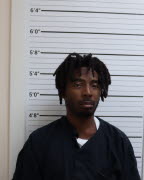 Mugshot of BRIAN C HOLMES