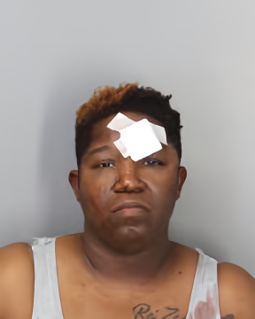 Mugshot of TRANESHA HARRISON