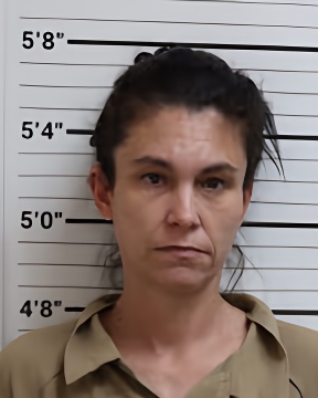 Mugshot of CHRISTY L HOBBS