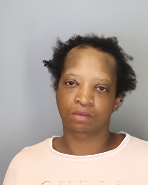Mugshot of SHEMIKA LASHA MCCHRISTIAN WEBSTER