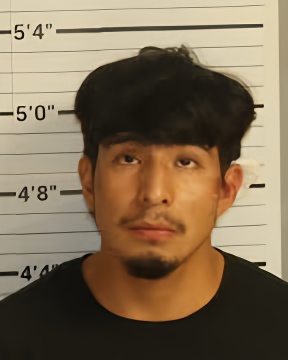 Mugshot of LIMNER GONZALEZ LOPEZ