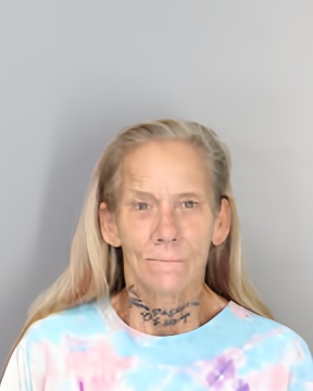 Mugshot of MELISSA ANN BOLIN