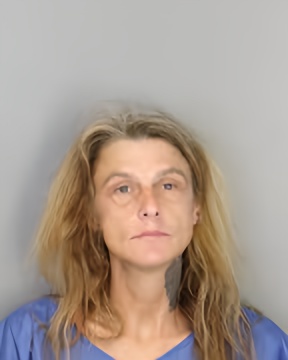 Mugshot of AMANDA HARRIS