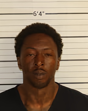 Mugshot of CONNIE LAVELL WILLIAMS